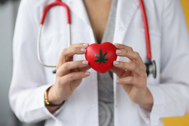 What Type of Medical Marijuana Doctors Can Provide a Cannabis Recommendation?