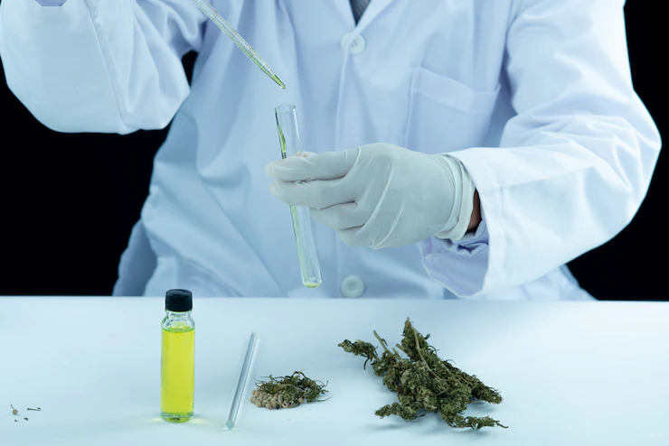 Qualify for a New York medical marijuana card