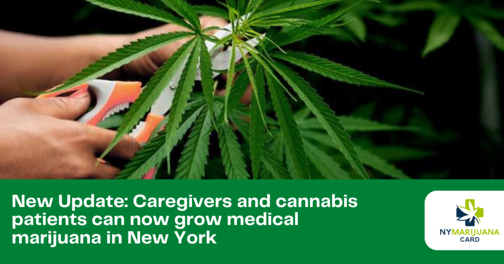 New Update: Caregivers and cannabis patients can now grow medical marijuana in New York