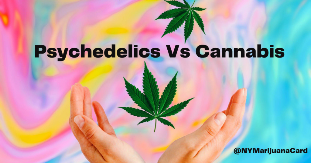 Psychedelics Vs Cannabis
