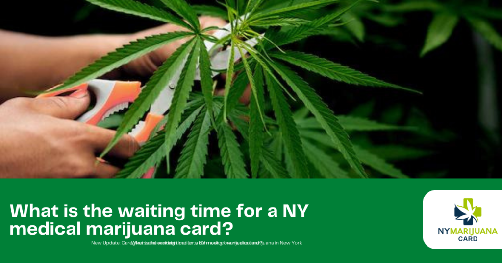 What is the waiting time for a NY medical marijuana card?