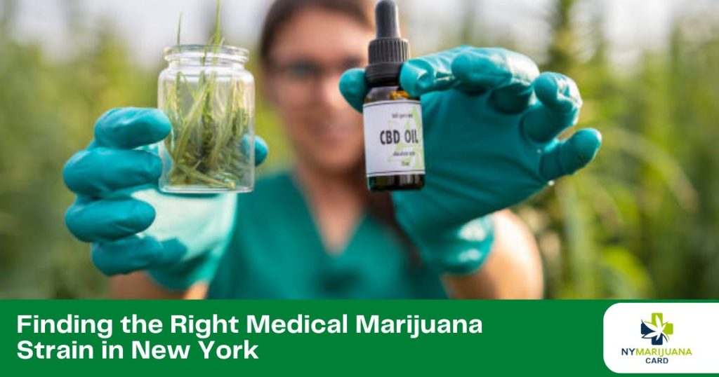 Finding the Right Medical Marijuana Strain in New York