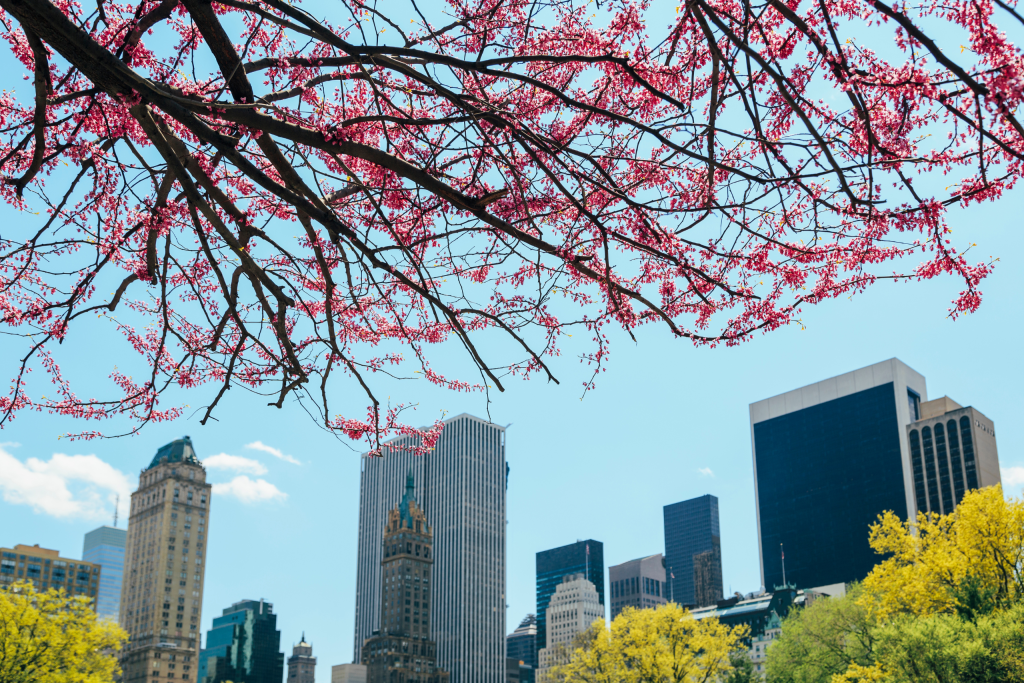Medical Cannabis Qualifying Conditions in New York