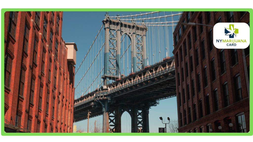 How to Find Medical Marijuana Doctors in Bronx County