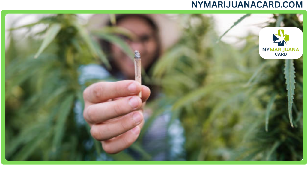 Can You Smoke Weed in Central Park NYC