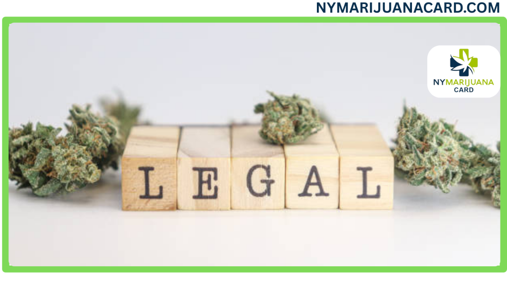 How to Become a Licensed Legal Cannabis Grower