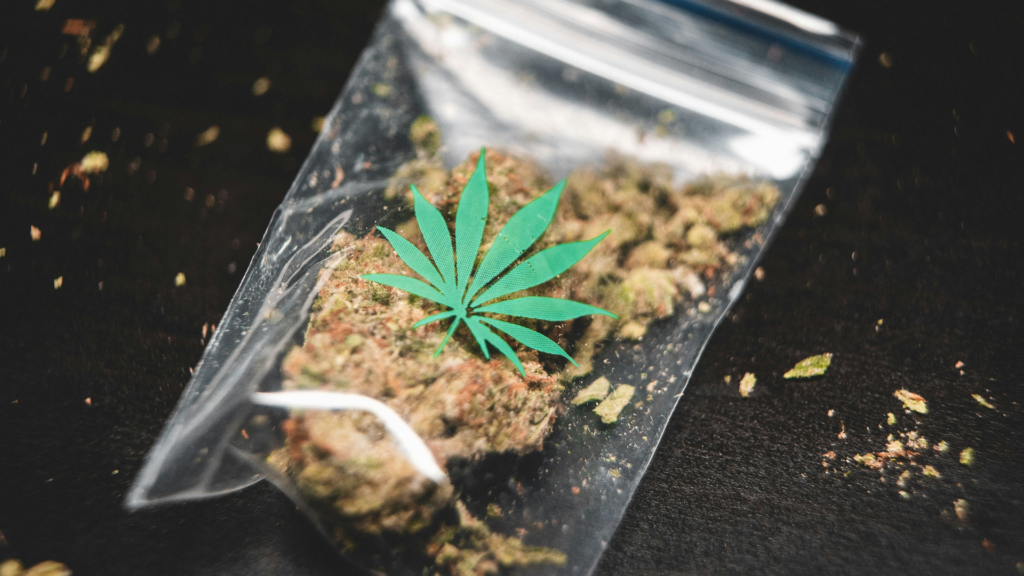 Consequences of Getting a New York Medical Marijuana Card