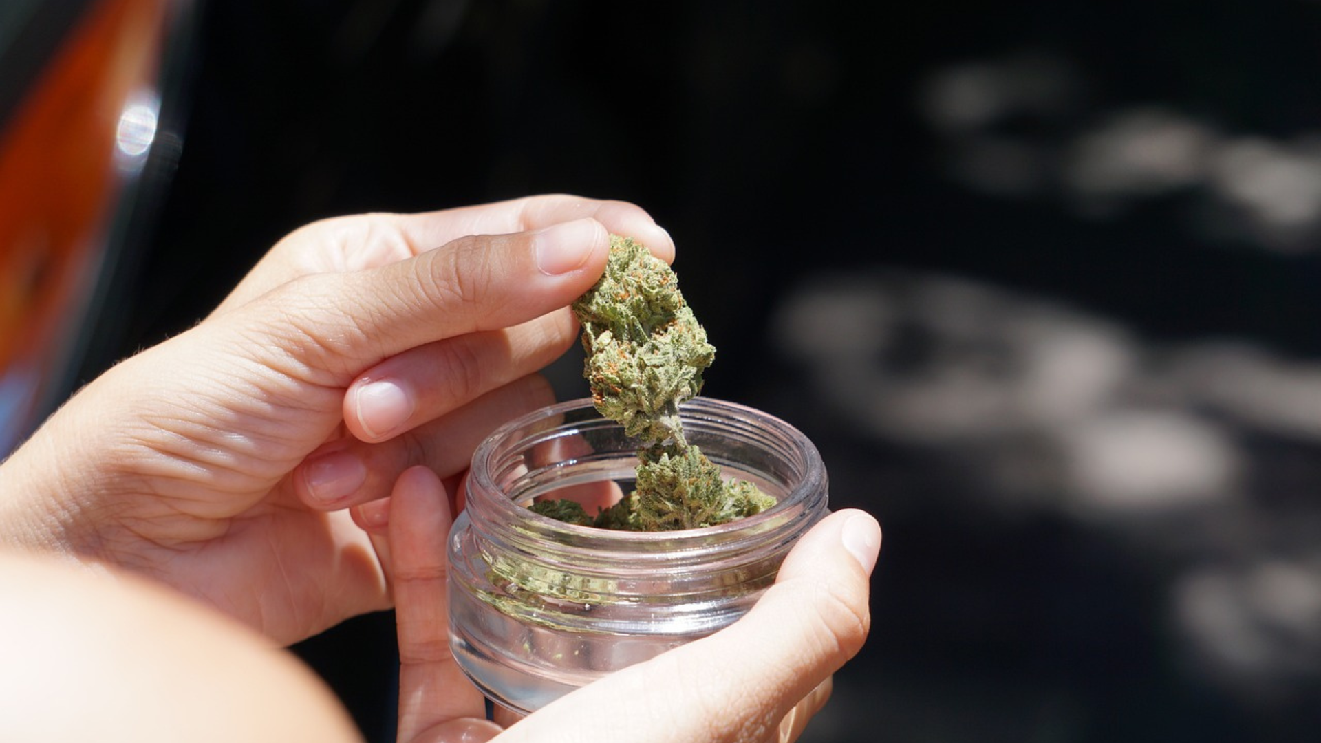How Do I Qualify for a New York Medical Marijuana Card?