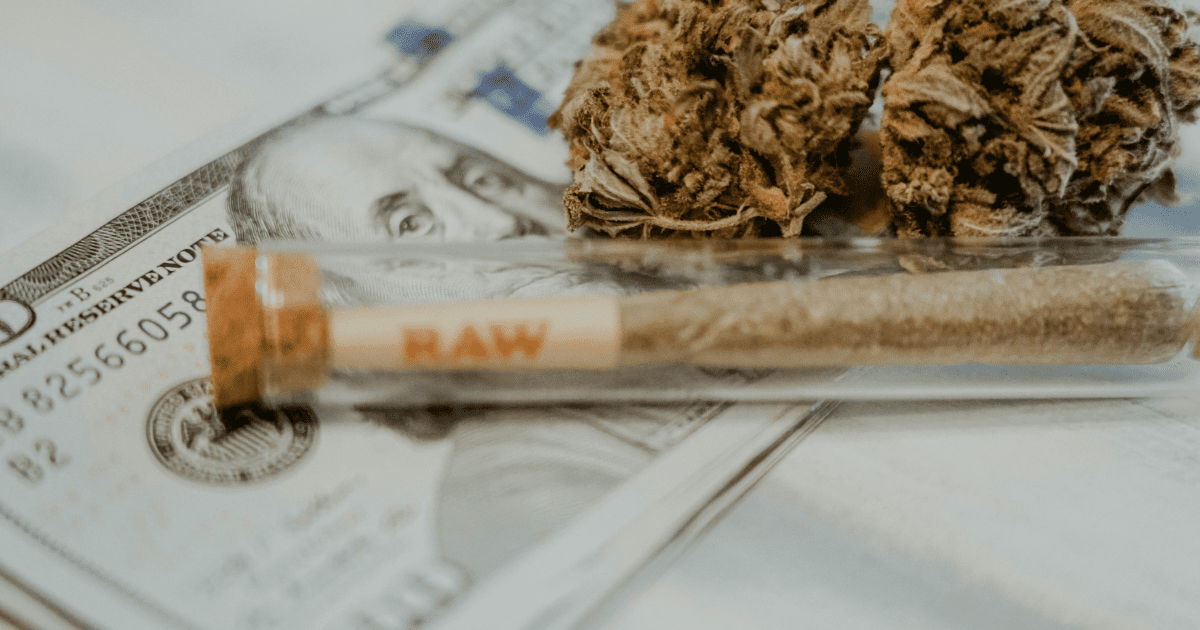 Medical vs Recreational Cannabis in New York: What’s the Real Difference?